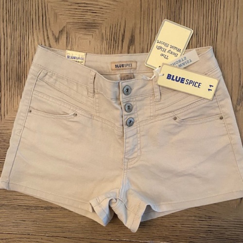 BLUEspice High Waisted Shorts Size 11